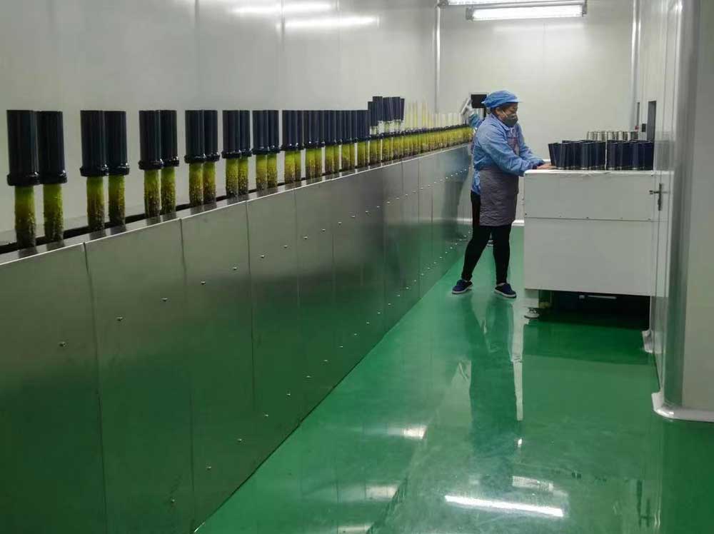 案例展示